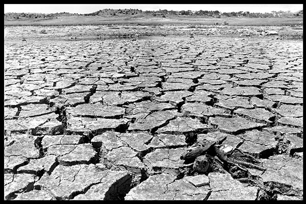 Sequía en el pantano de Alarcón. La peor sequía en España de finales del s. XX. 1995. El Día de Cuenca. (c) JAVIER ROMERO 