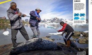 Pulsando sobre la imagen se accede a la web creada por el diario argentino Clarín sobre este viaje Ártico con imágenes de Calamar2/Pedro ARMESTRE