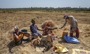 Un grupo de agricultores descansa durante una jornada agrícola tradicional en Guinea Bissau.